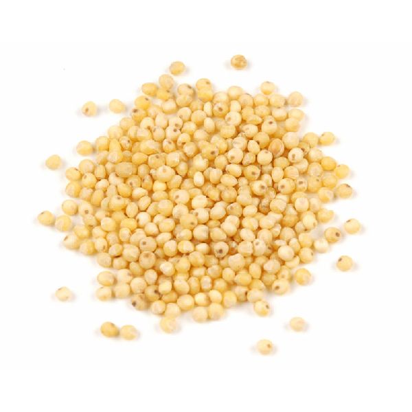 Common Organic Millet Seeds, Style : Dried