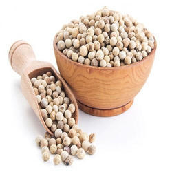 Organic white pepper seeds, Style : Dried