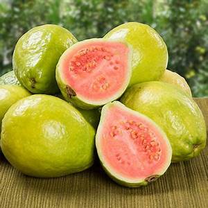 Organic Fresh Natural Guava, Packaging Size : 20Kg, 50 Kg