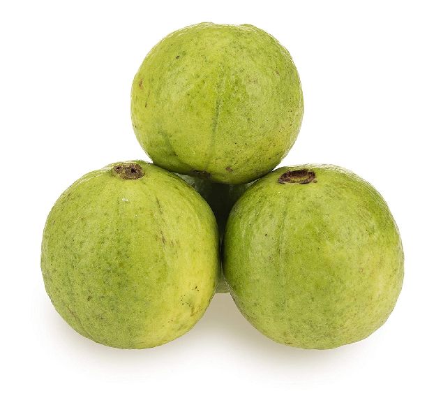 Fresh Organic Guava, Style : Natural