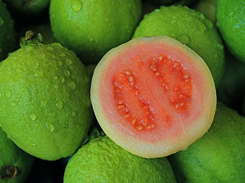 Fresh Sweet Guava, Color : Green