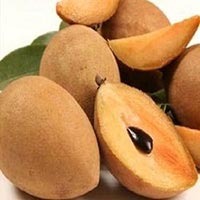 Fresh Sweet Sapota, Color : Brown