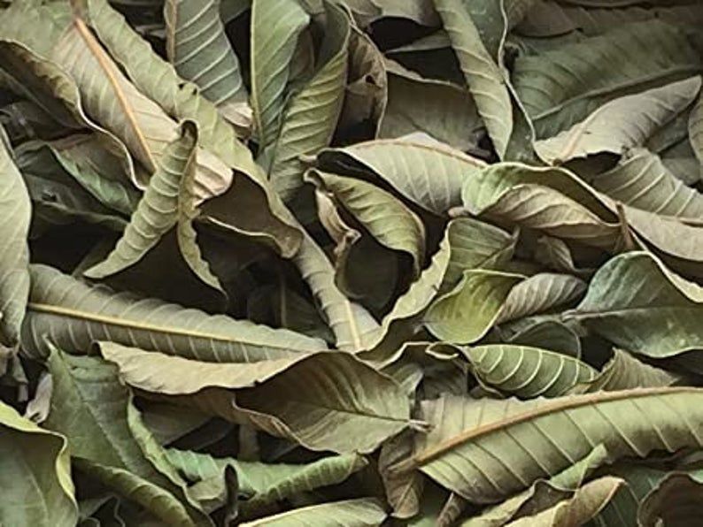 Organic Natural Dry Guava Leaves, Color : Green