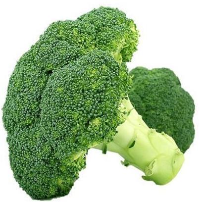 Natural Fresh Broccoli, for Cooking, Packaging Size : 10kg, 20kg