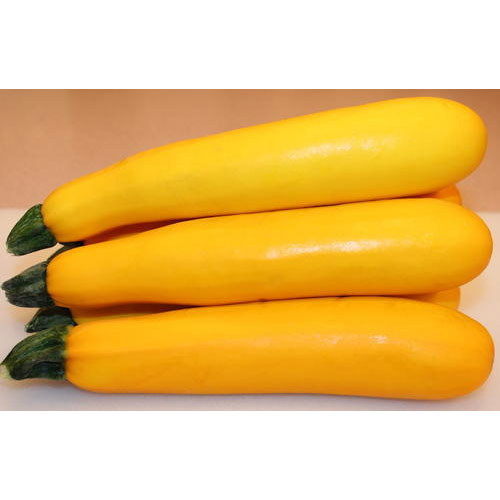 Natural Yellow Zucchini, Packaging Size : 25kg, 50kg