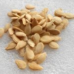 Ash Gourd Seeds – Kumdha Seeds (5 GM)