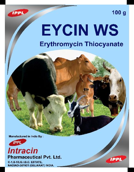 Erythromycin Thiocyanate Powder