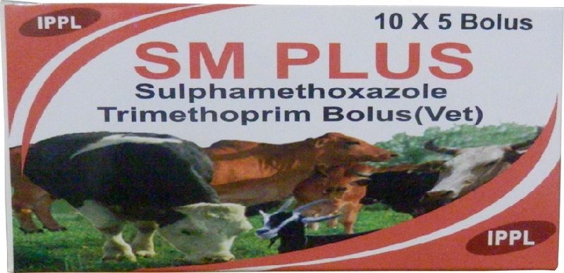 Sulphamethoxazole trimethoprim veterinary bolus