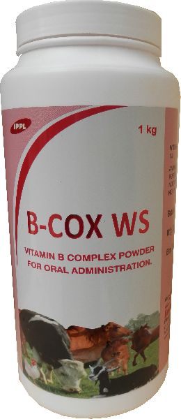 Vitamin B Complex Powder