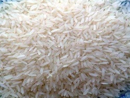Organic PR14 Non Basmati Rice, for High In Protein, Variety : Long Grain, Medium Grain, Short Grain