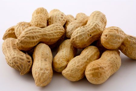 Shelled Peanuts, Packaging Type : Jute Sack