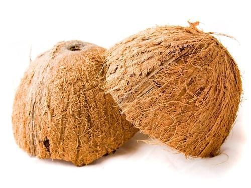 Organic Semi Husked coconut shell, for Handicraft, Taste : Sweet
