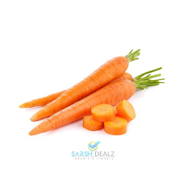 Fresh Carrot