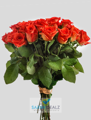 Organic Naranga Rose Flower, for Decoration, Gifting, Color : Orange