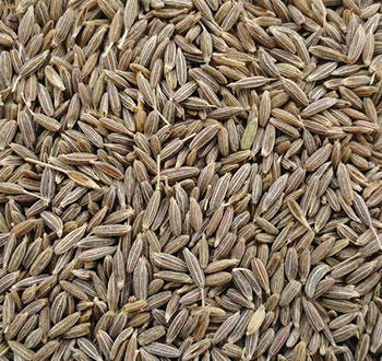 Brown Cumin Seeds, Shelf Life : 1Year