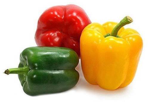 Fresh Capsicum, for Cooking, Color : Green, Red, Yellow