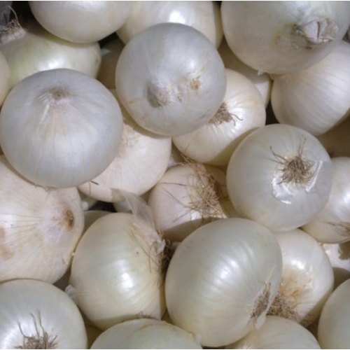 Fresh White Onion, for Cooking, Fast Food, Snacks, Size : 30 Mm 40 Mm