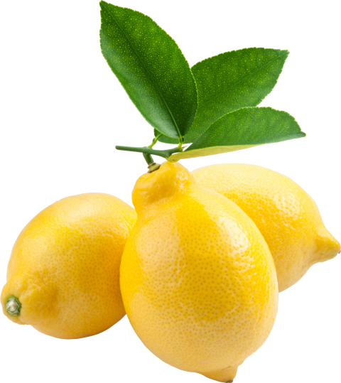 Juicy Lemon At Best Price In Pune Maharashtra From A Green Exports 