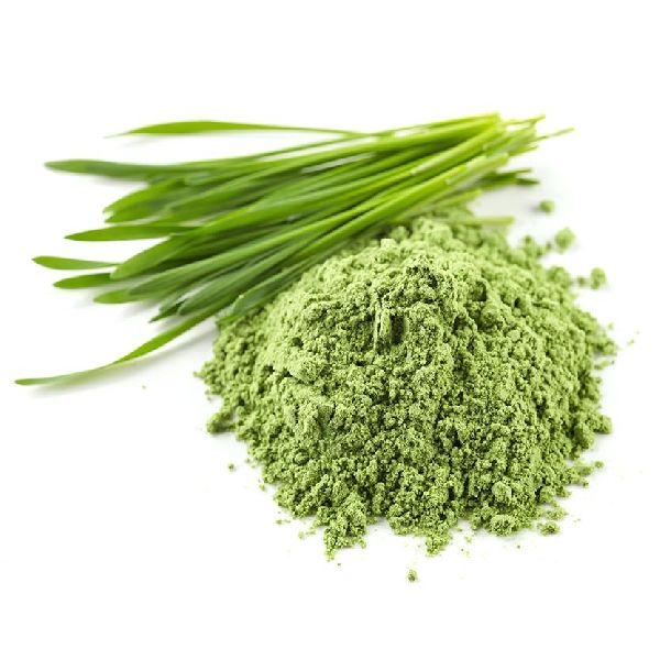 Wheatgrass Powder, Packaging Type : Pouch