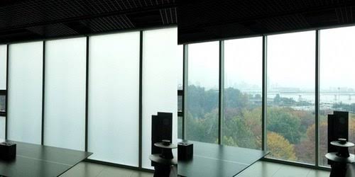 Switchable Smart Glass