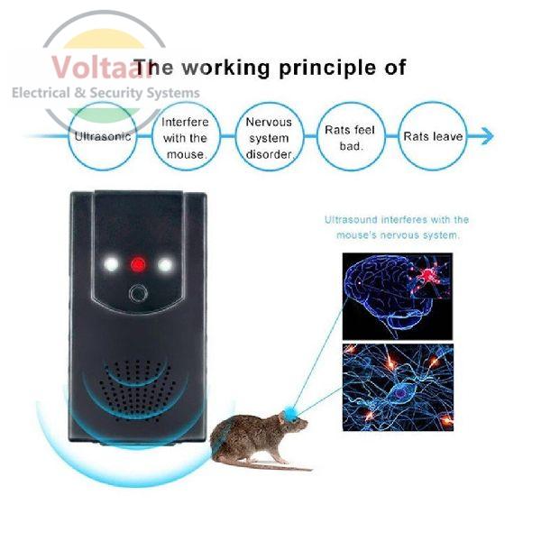 Services Rodent Repellent System AMC Services from Thane Maharashtra