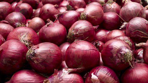 fresh red onion