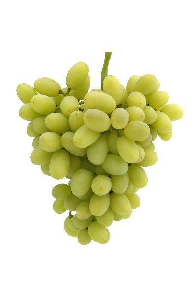 Common Fresh Green Grapes