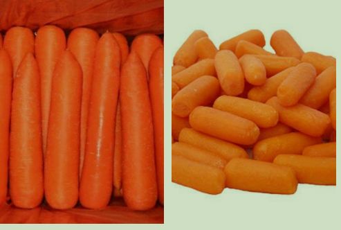 IQF/ Frozen Baby Carrot, Taste : Delicious