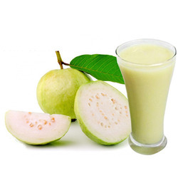 White Guava Puree, Form : Paste