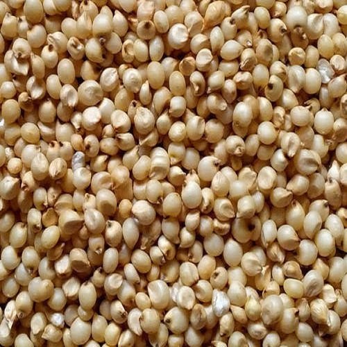 White Jowar Seeds, Color : Brown