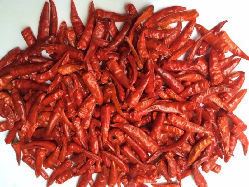 Dried Kashmiri Chilli