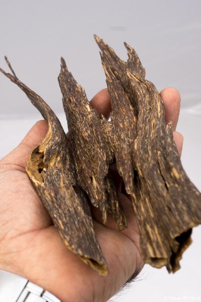 Agarwood Bast, For Personal Care, Cosmetic, Purity : 99.9%