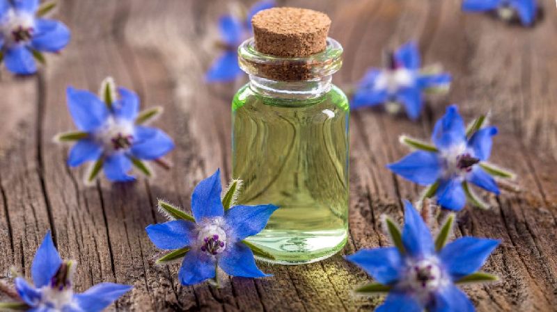 Borage Extract