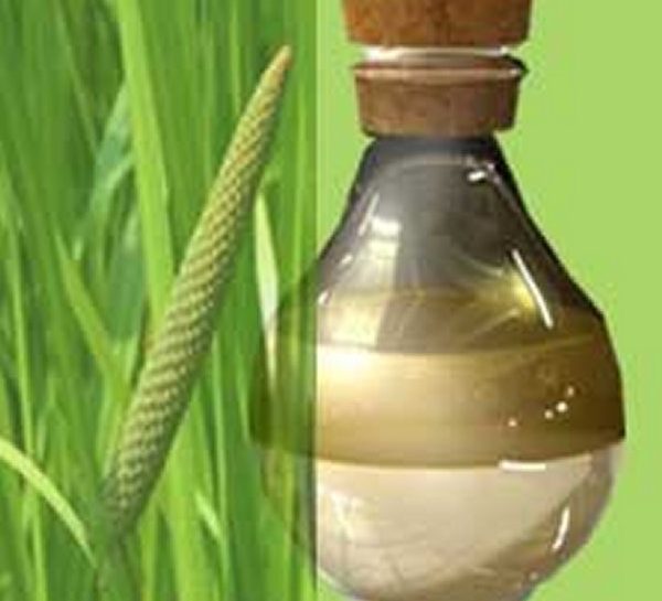 Calmus Oil, For Cosmetic, Purity : 99.9%