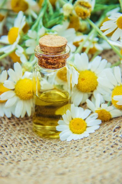 Chamomile Extract Buy Chamomile Extract,Natural Flower Extracts for