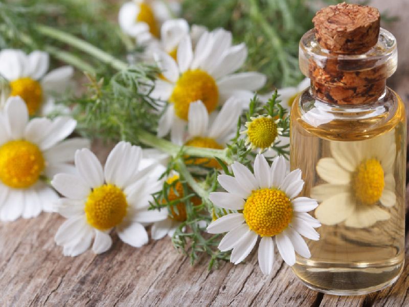  Chamomile Roman Oil, for Personal Care, Cosmetic, Purity : 99.9%