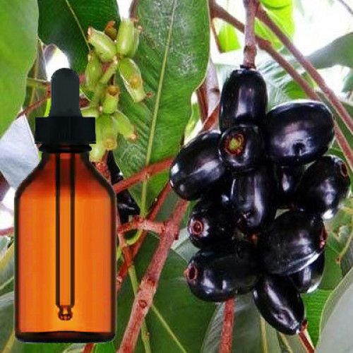 Jamun Extract by James Wild Herbs, Jamun Extract,Fruit Extracts, INR 1.