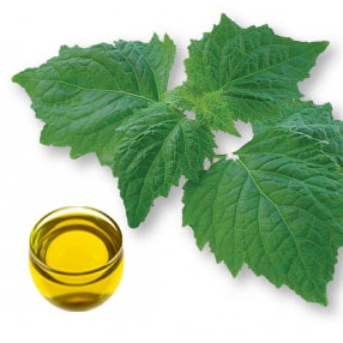  Patchouli Oil, for Cosmetic, Purity : 99.9%