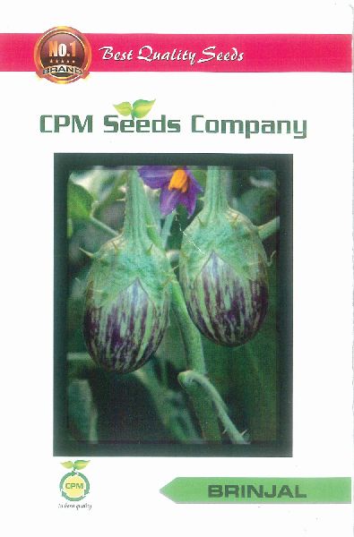 Organic brinjal seeds, Packaging Type : Plastic Pouch