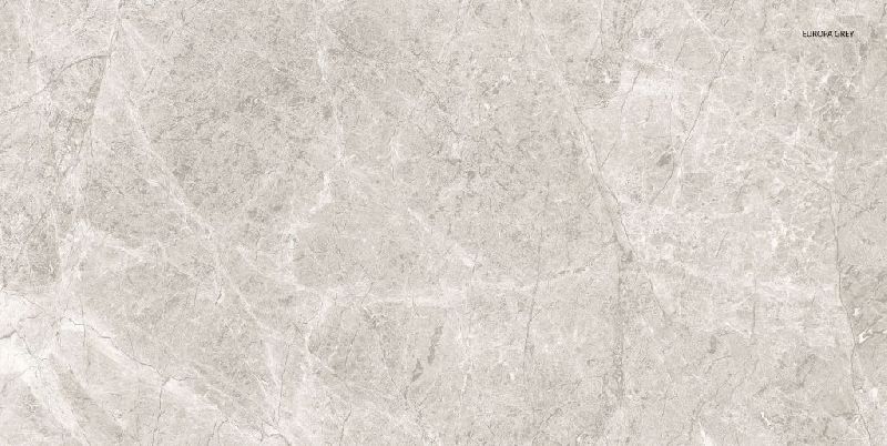 Europa Grey Marble Tiles, Size : 60 X 120mm