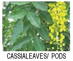 Cassia leaves / pods