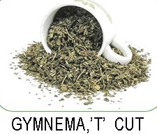 Gymnema T cut