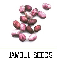 Jambul seeds