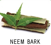 Neem Bark