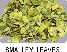 Smalley Leaves