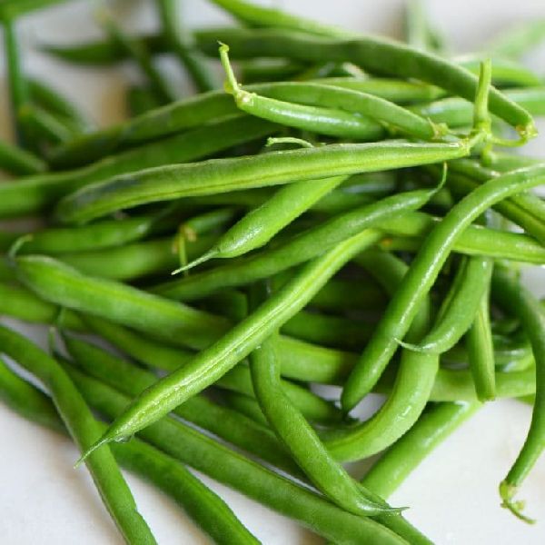 Organic Fresh French Beans, for Making Protein Powder, Oil Extraction, Feature : Non Harmful