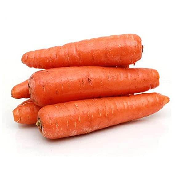 Organic Fresh Carrot, Style : Natural