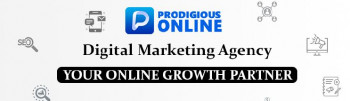 Prodigious Online - Digital Marketing Agency in Mohali