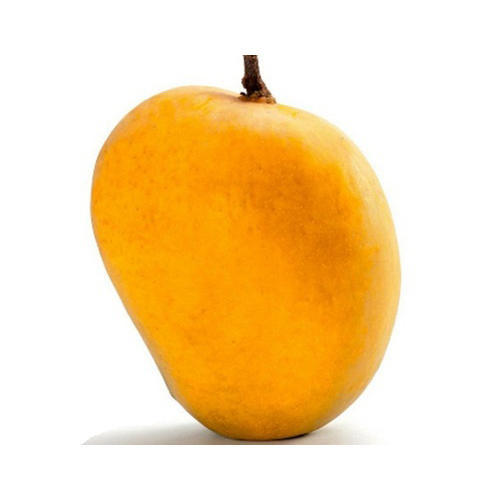 Organic Fresh Hapus Mango, Color : Yellow