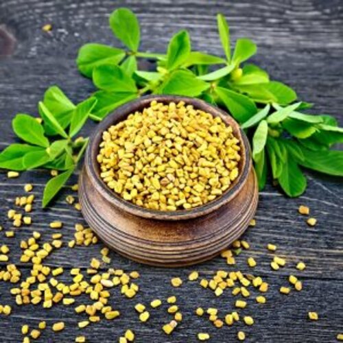 Fenugreek